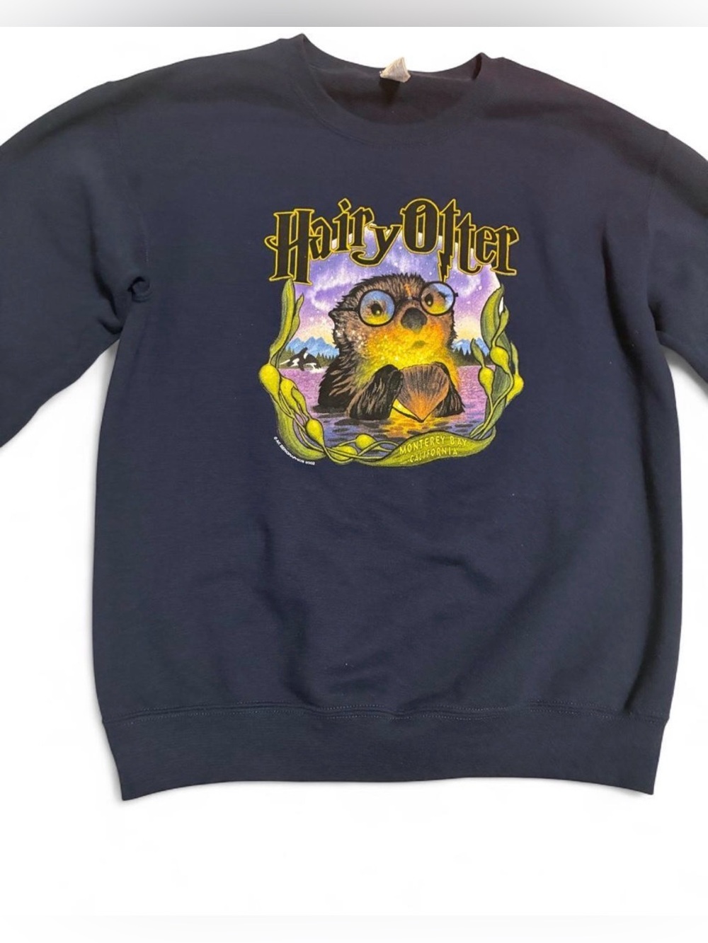 Hairy Otter Graphic Crewneck Sweatshirt - Navy, Size Small